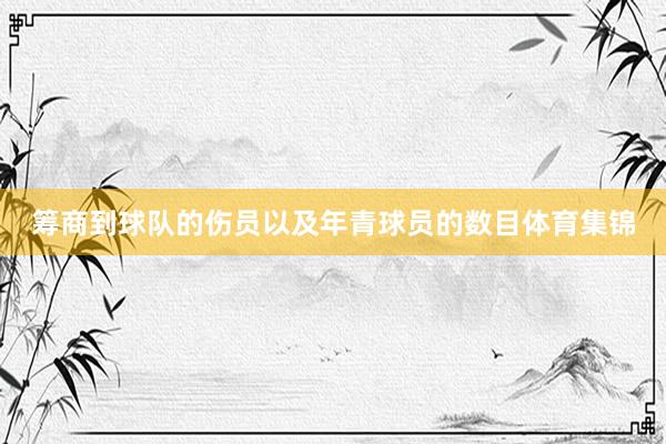 筹商到球队的伤员以及年青球员的数目体育集锦